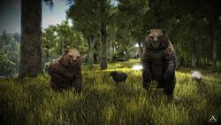 Eternal Alpha Grizzly Bear - ARK Official Community Wiki