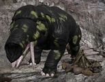 Relative Size