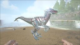 Tek Raptor PaintRegion0.jpg