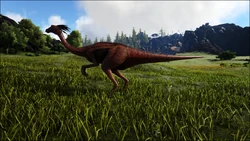 ガリミムス 公式ark Survival Evolvedウィキ ガリミムス 公式ark Survival Evolvedウィキ