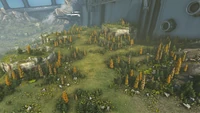 Slopes of Solitude (Genesis Part 2)