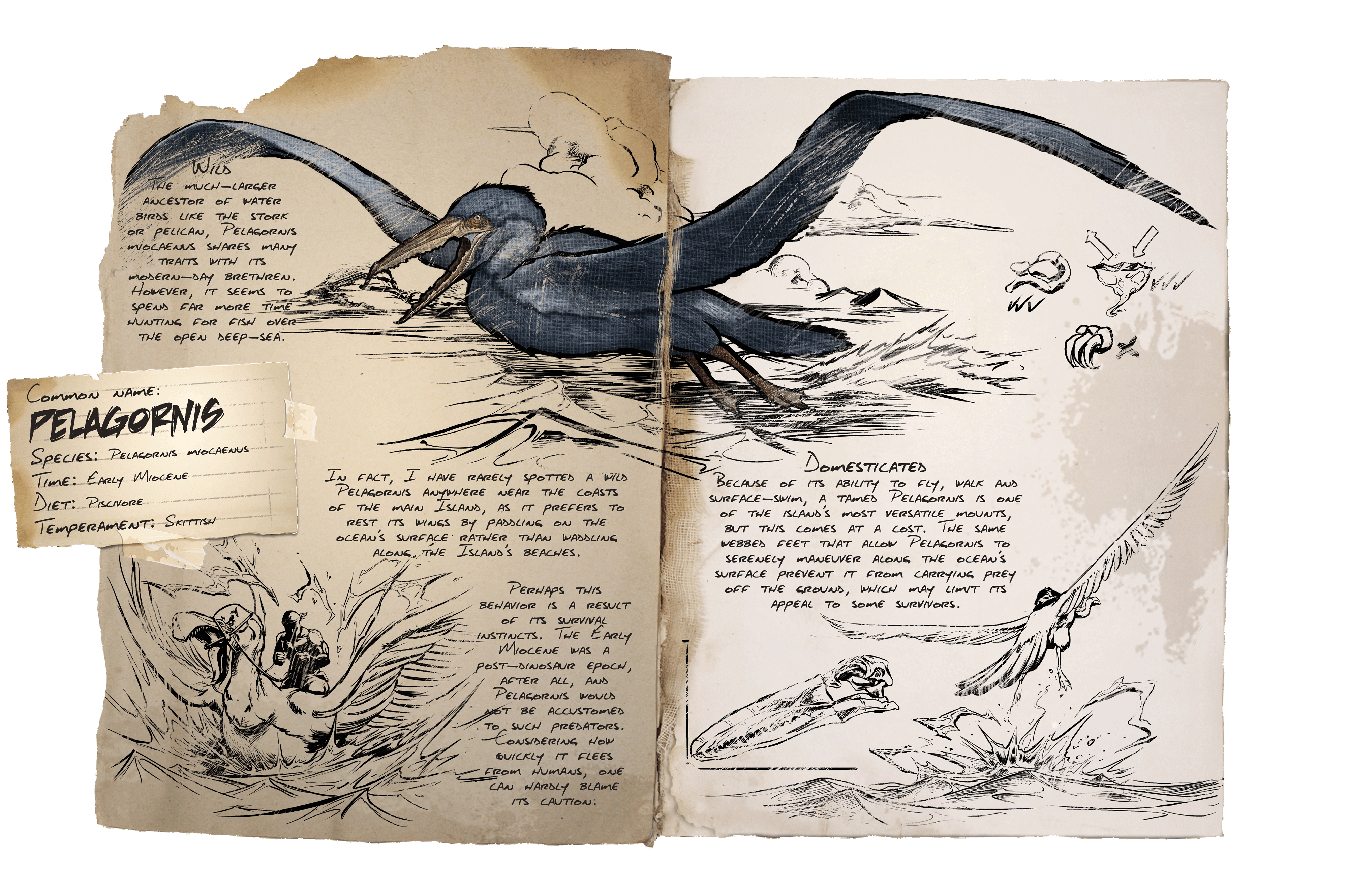 Pelagornis - ARK: Survival Evolved Wiki