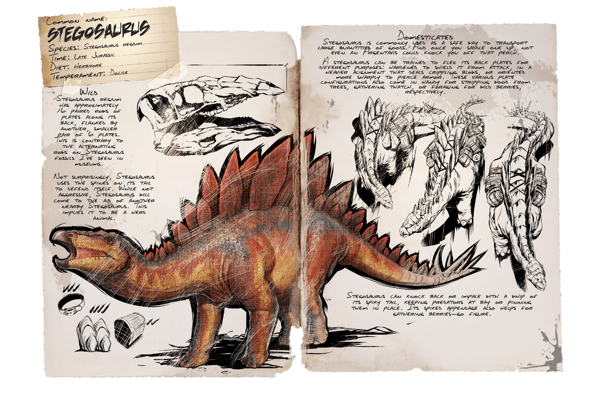 Stegosaurus Official Ark Survival Evolved Wiki