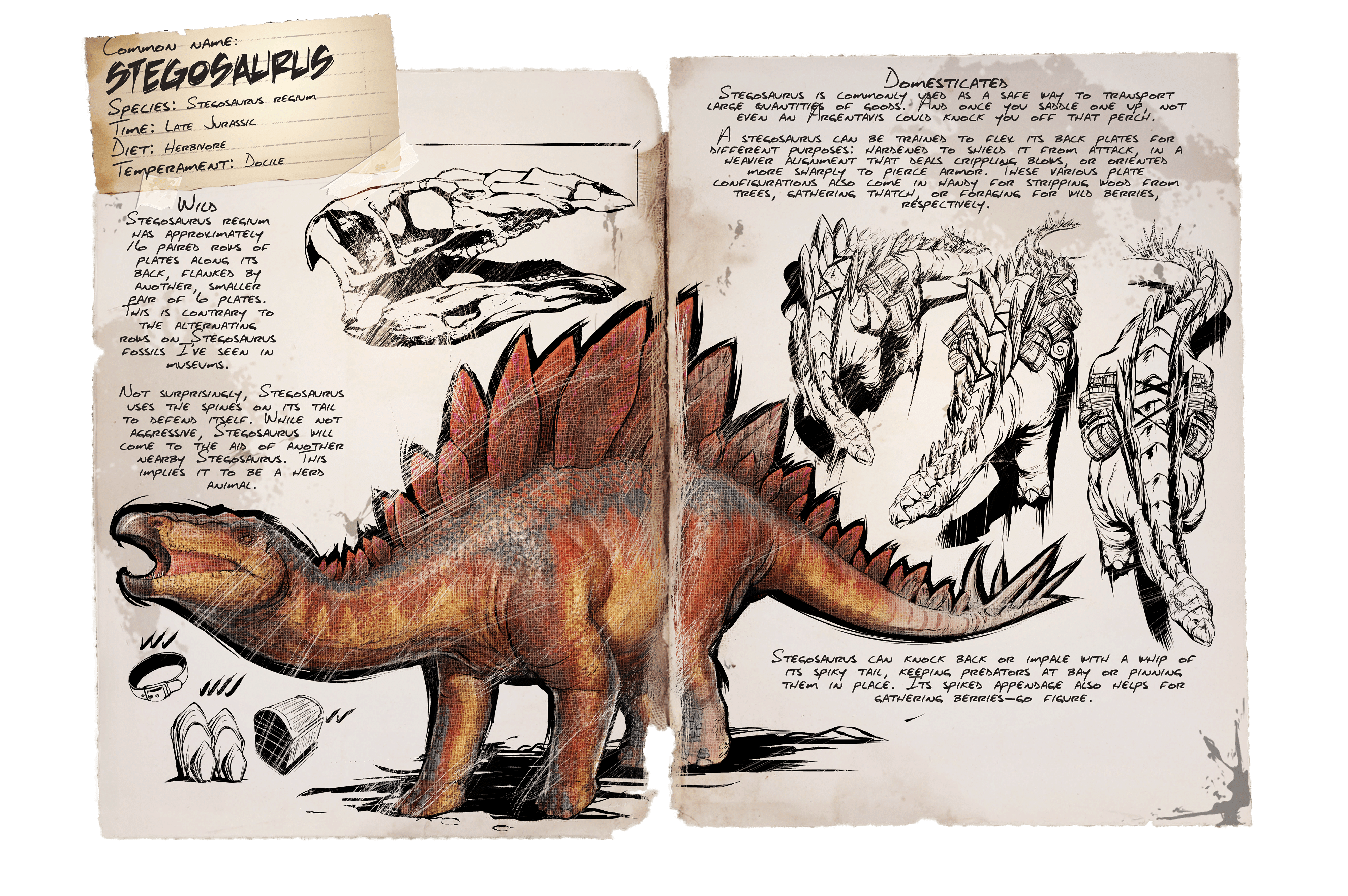 Stegosaurus Official Ark Survival Evolved Wiki