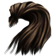 Human Hair.png