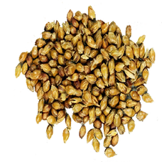 Sorghum Seed (Primitive Plus).png