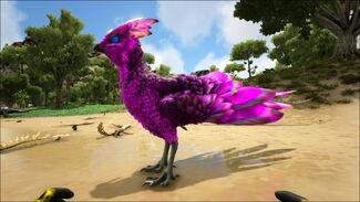 Ice Featherlight Official Ark Survival Evolved Wiki