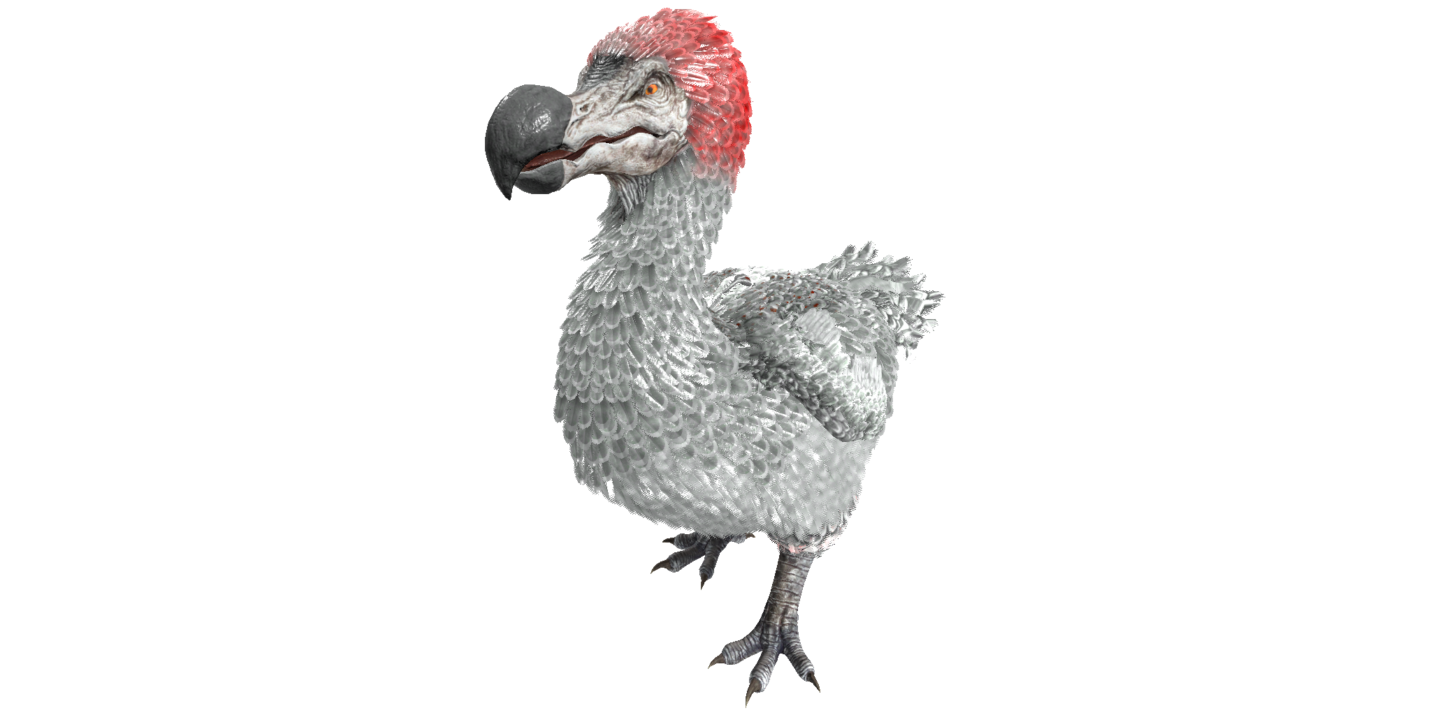 Dodo  ARK: Survival Evolved