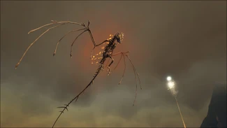 Bone Fire Wyvern 公式ark Survival Evolvedウィキ