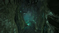 Darkwood Tunnel (Genesis Part 1)