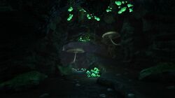 The Center Official Ark Survival Evolved Wiki The Center Official Ark Survival Evolved Wiki