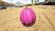 Pumpkin PaintRegion5