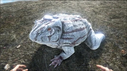 Beelzebufo PaintRegion4