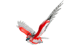 Snow Owl PaintRegion0.png