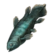Coelacanth icon