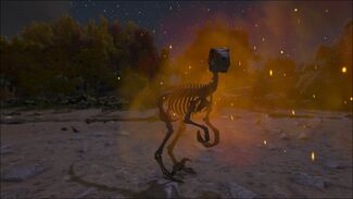 Skeletal Raptor Official Ark Survival Evolved Wiki - skeleton roblox artho dinosaur