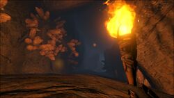 Wyvern Cave Ragnarok Official Ark Survival Evolved Wiki