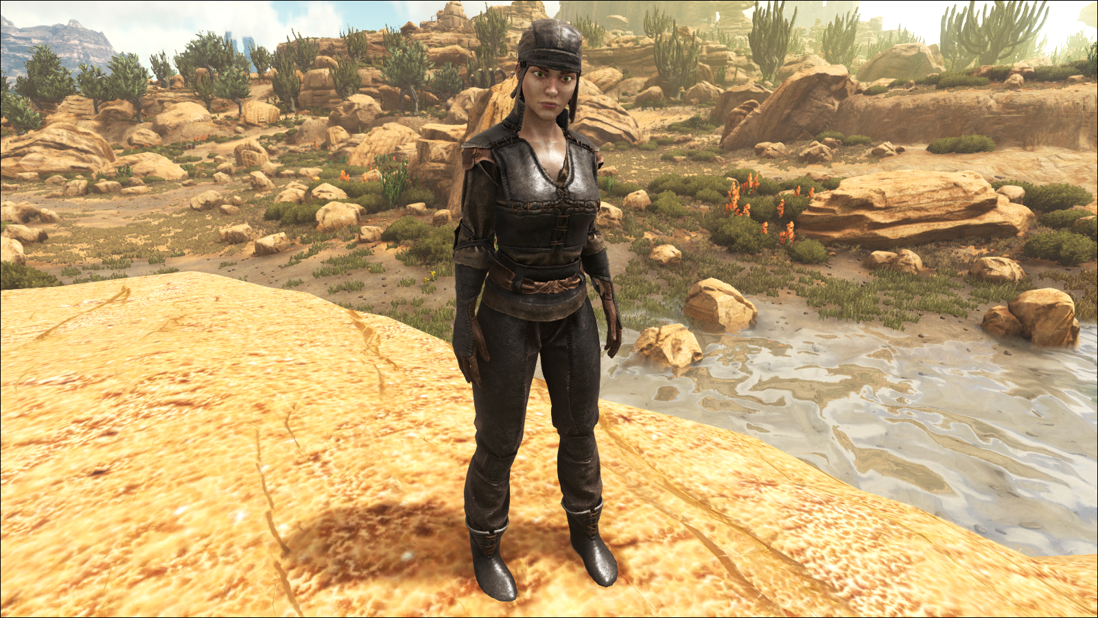 ArmorHideFemale.png