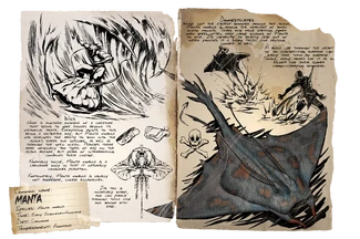 Dossier Manta