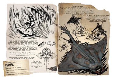 Dossier Manta