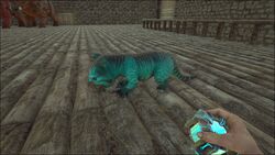 ティラコレオ 公式ark Survival Evolvedウィキ ティラコレオ 公式ark Survival Evolvedウィキ