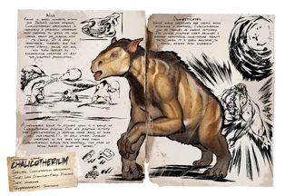 Dossier Chalicotherium