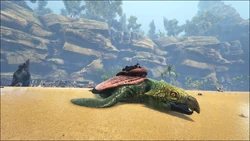 Mod:ARK Additions/Archelon - ARK: Survival Evolved Wiki