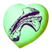 Chibi-Tropeognathus.png
