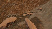 Hidden Springs Cave (Ragnarok)