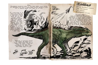 Dossier Velonasaur