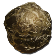Human Feces.png
