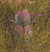 A fairly rare Plant Species Y growing in the wild, harvests a higher rate of seeds.