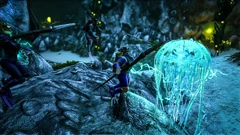 Survivors fighting Cnidaria