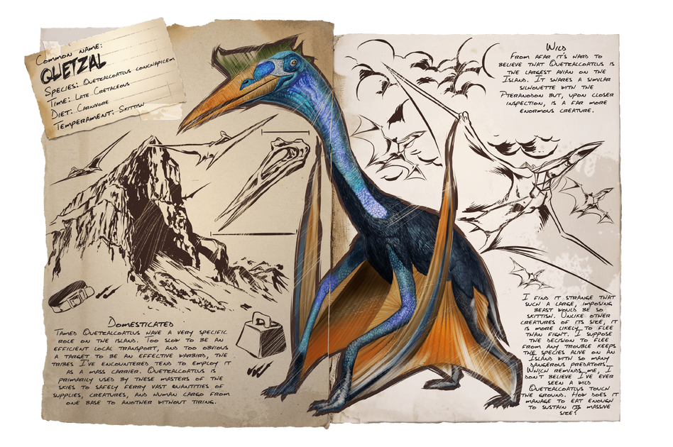 quetzal flying drawing