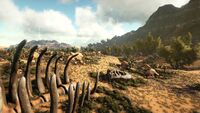 Southern High Desert (Scorched Earth).jpg