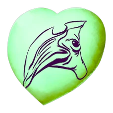 チビプテラノドン 公式ark Survival Evolvedウィキ