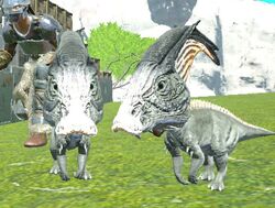 ark wiki fandom