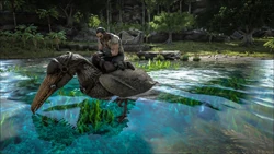 ペラゴルニス Ark Survival Evolvedウィキ ペラゴルニス Ark Survival Evolvedウィキ