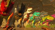 Rex color mutations.jpg