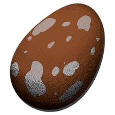 Basic Maewing Egg (Genesis Part 2)