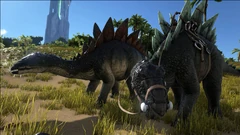 Two Stegosaurus of a different coloring, with and without a saddle.