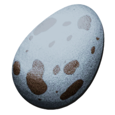 Hesperornis Egg.png