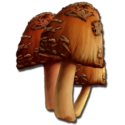 Rare Mushroom Ark Ragnarok Map Rare Mushroom - Ark: Survival Evolved Wiki