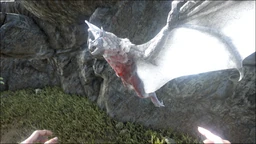 Onyc PaintRegion4.jpg