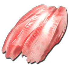 Raw Fish Meat