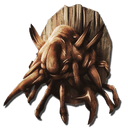 Alpha Deathworm Trophy Scorched Earth Official Ark Survival Evolved Wiki