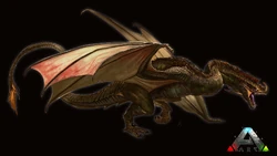 Wyverne Wiki Officiel De Ark Survival Evolved