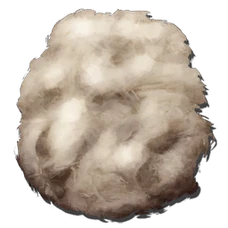 Wool