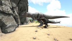 Giganotosaurus Official Ark Survival Evolved Wiki 800 x 752 jpeg 48kb. ark survival evolved wiki