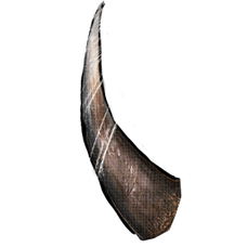 Woolly Rhino Horn